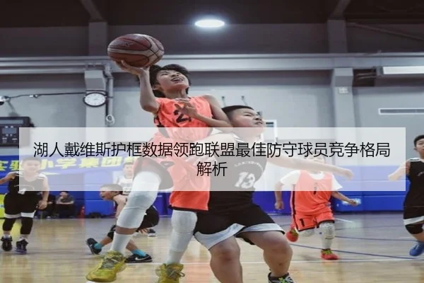 湖人戴维斯护框数据领跑联盟最佳防守球员竞争格局解析（cc7c7.app）