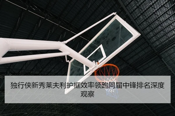 独行侠新秀莱夫利护框效率领跑同届中锋排名深度观察