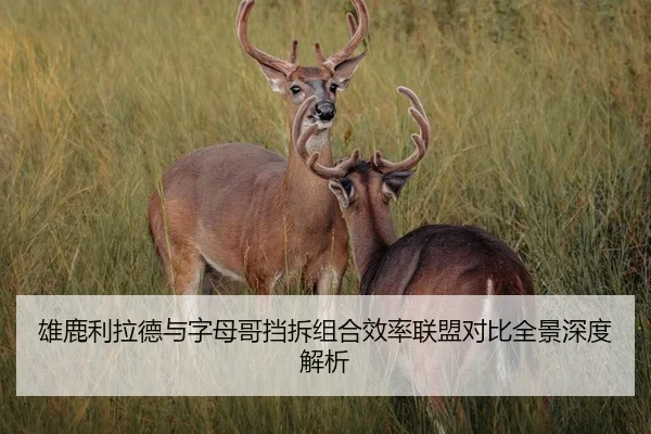 雄鹿利拉德与字母哥挡拆组合效率联盟对比全景深度解析（cc7c7.app）