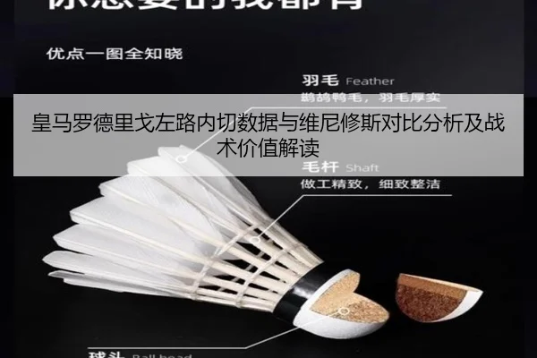 皇马罗德里戈左路内切数据与维尼修斯对比分析及战术价值解读（cc7c7.app）
